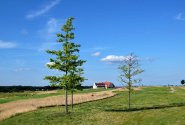 Golf spojuje lidi i přírodu: Projekt Golf Vinoř Citizen Science